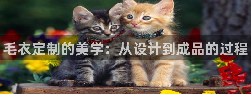 天辰娱乐上级