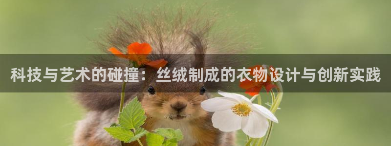 天辰辰娱乐代理