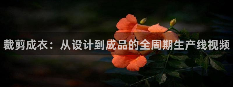 天辰娱乐官