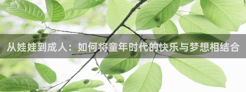 天辰娱乐APP下载