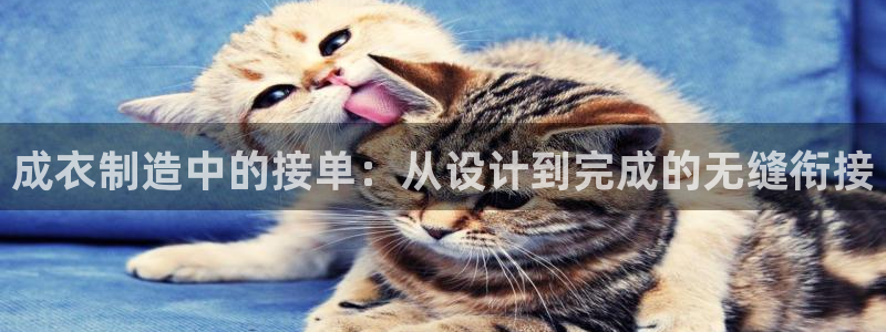 辰天娱乐