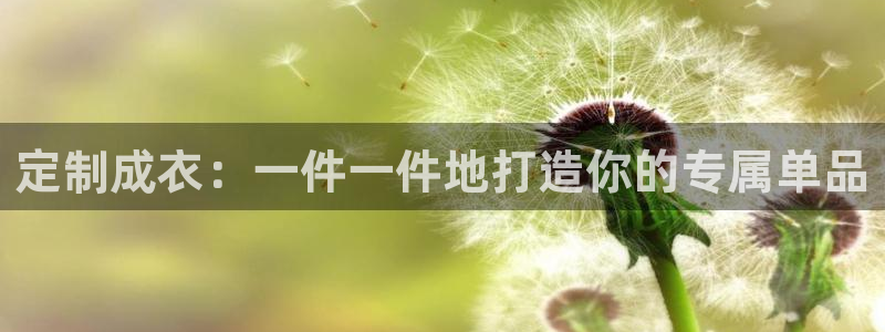 天辰娱乐维护