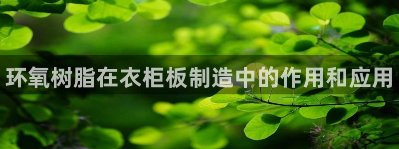 天辰娱乐会员
