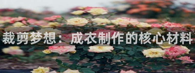 天辰娱乐国际