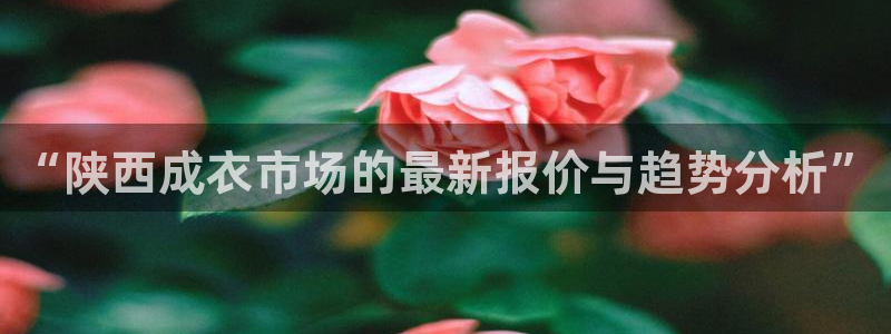 天辰娱乐61116