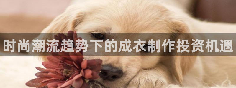 天辰娱乐平台地址