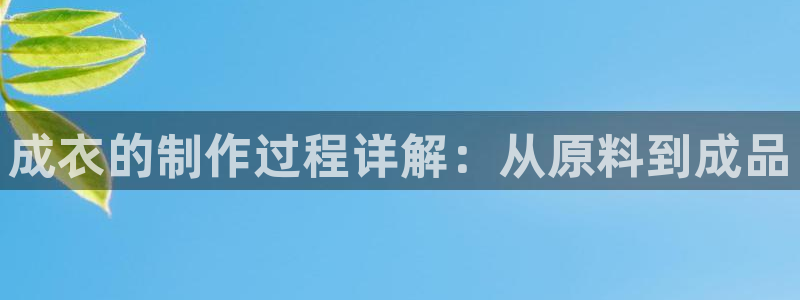 天辰娱乐分红