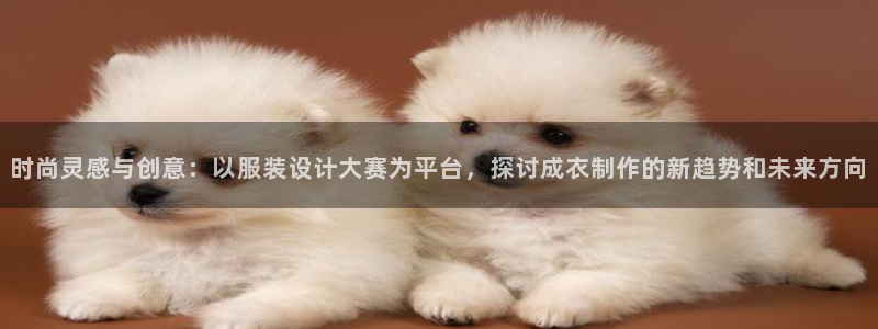 辰天娱乐用品