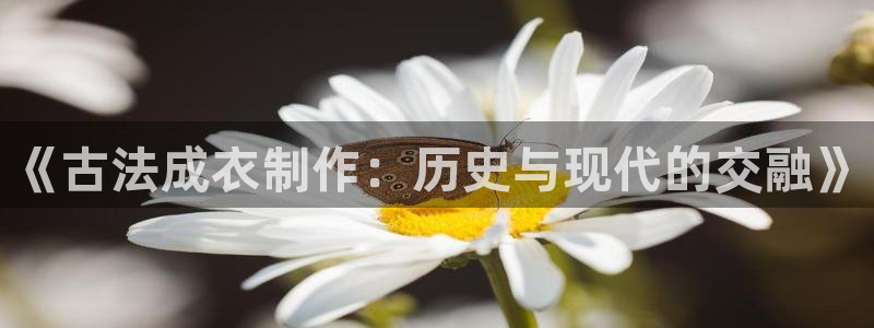 天辰娱乐娱乐