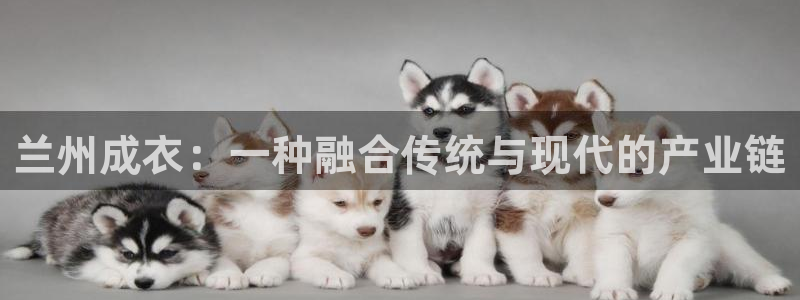 天辰娱乐平台app下载