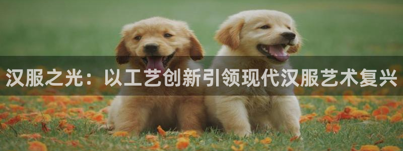 天辰娱乐公司