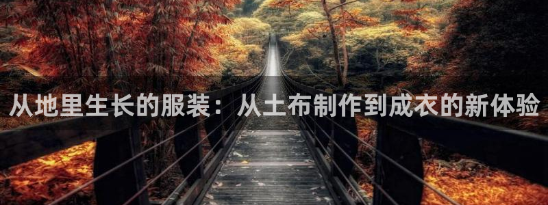 天辰娱乐 18113