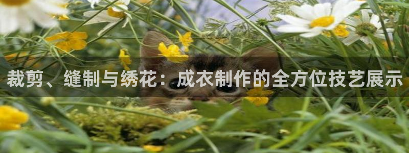 天辰娱乐 849852
