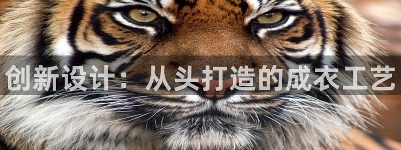 手机上怎么下载天辰娱乐