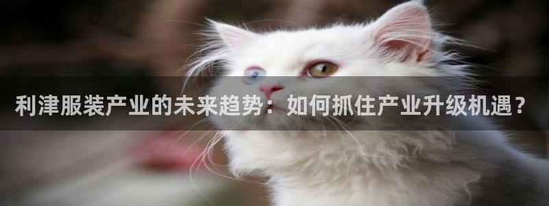 天辰娱乐平台安全吗