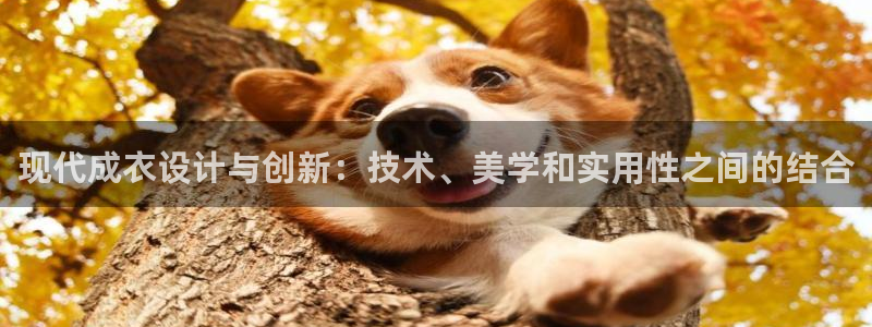 天辰娱乐网址娱乐游戏