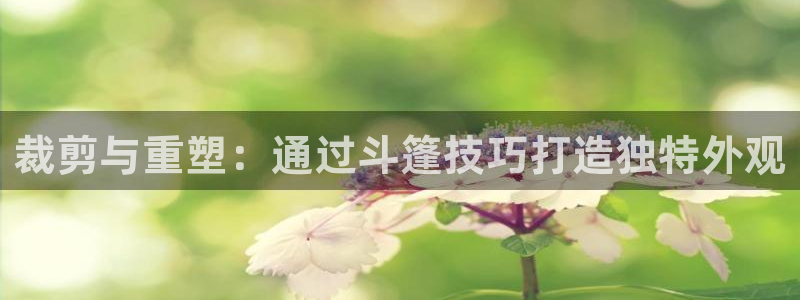 天辰娱乐路线
