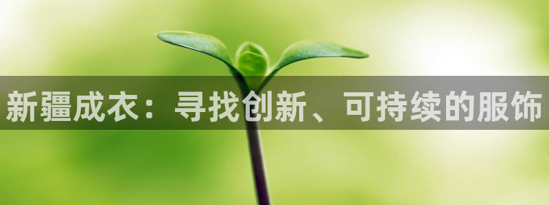 天辰娱乐 44516
