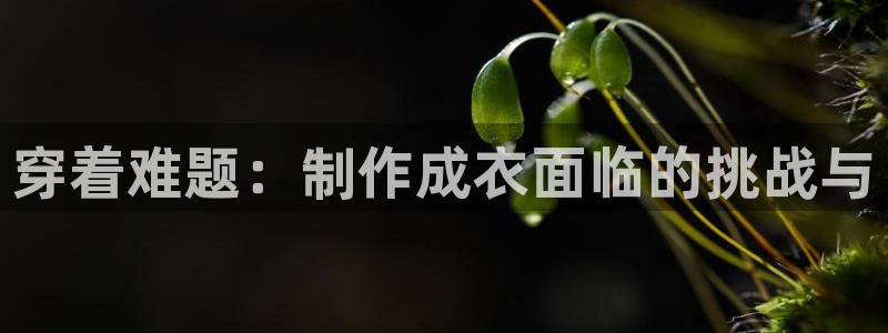 天辰娱乐娱乐