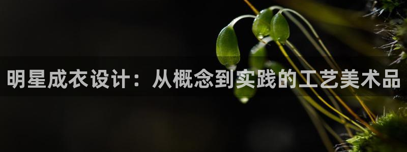 天富娱乐天辰娱乐