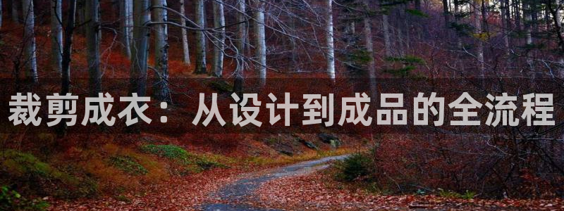 天辰娱乐总管年薪