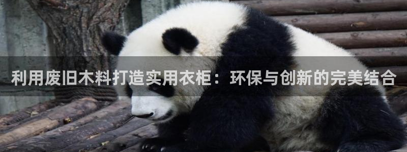 天辰娱乐注册登录