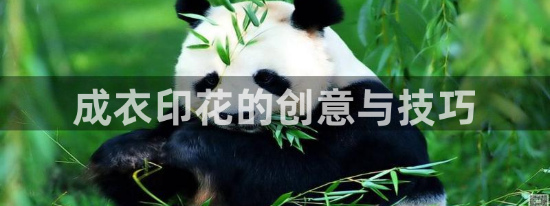 天辰娱乐平台安全吗