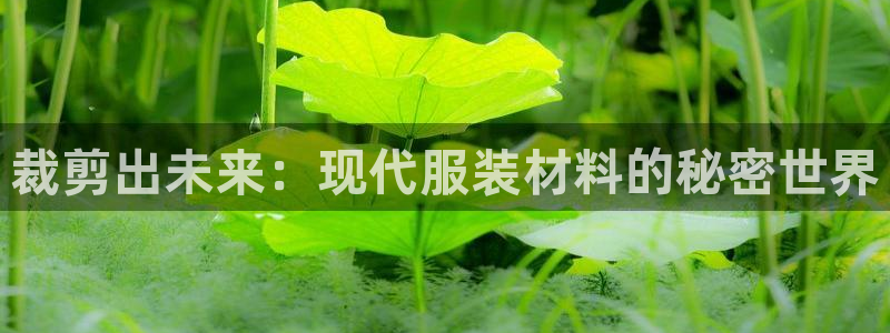 天辰娱乐文案