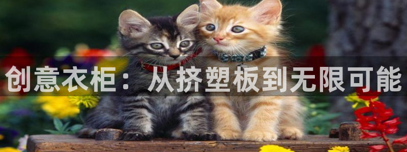 天辰天富娱乐登录