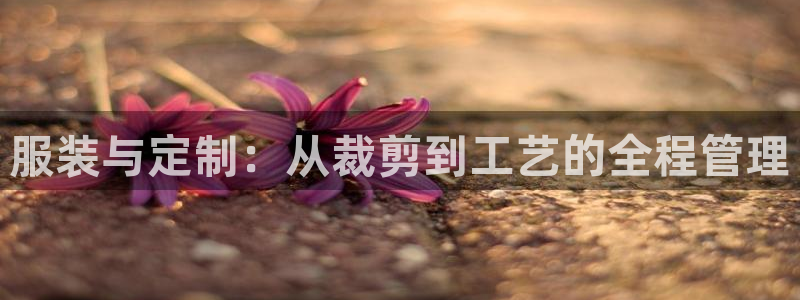 天辰娱乐22650