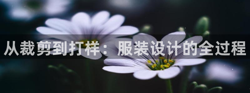 天辰娱乐游戏平台怎么样