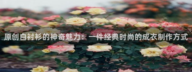 天辰娱乐平台入口