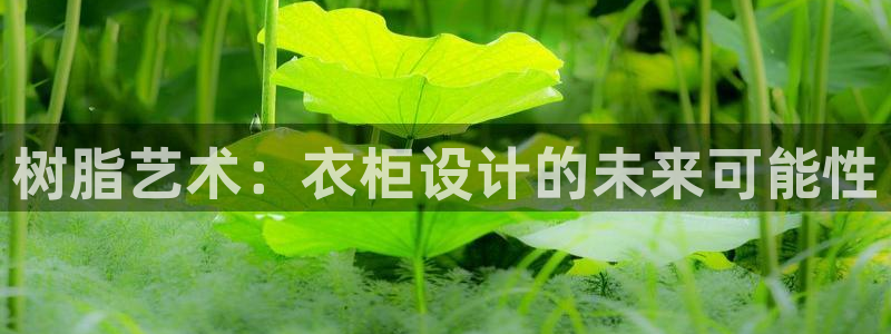 天辰团队贝高娱乐