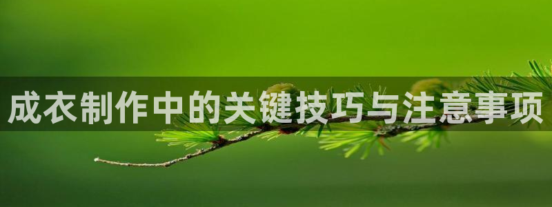 天辰娱乐平台娱乐注册